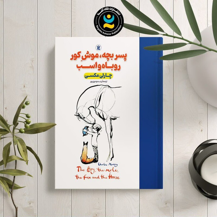 کتاب پسر بچه موش کور روباه و اسب اثر چارلی مکسی انتشارات نگاه آشنا