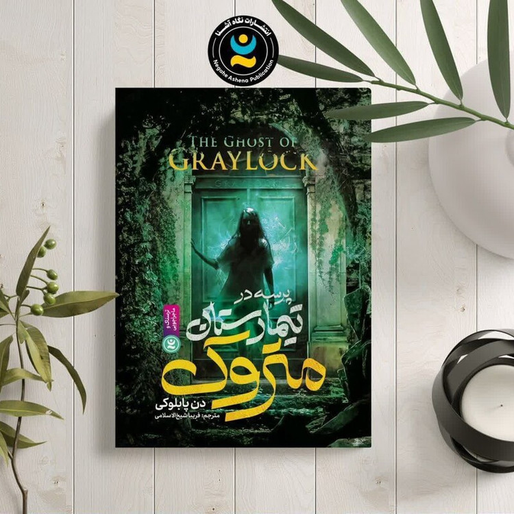 کتاب پرسه در تیمارستان متروک اثر دن پابلوکی انتشارات نگاه آشنا