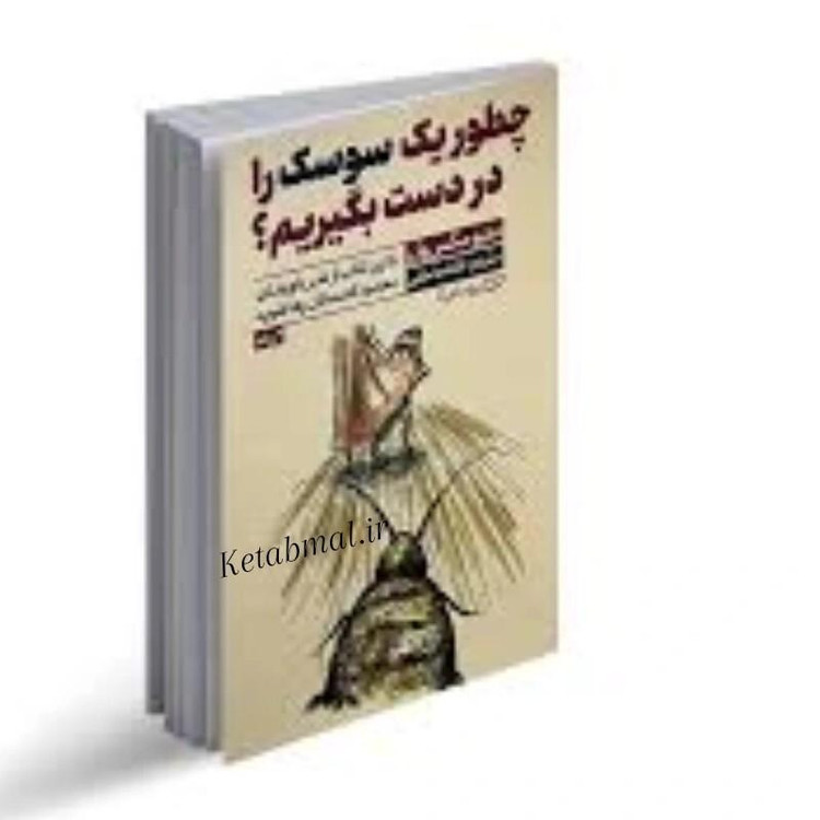 کتاب چطور یک سوسک را در دست بگیریم