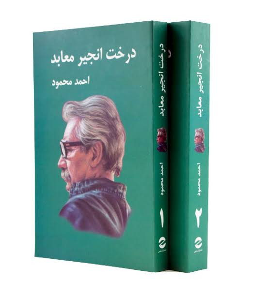 کتاب درخت انجیر معابد اثر احمد محمود انتشارات معین دو جلدی