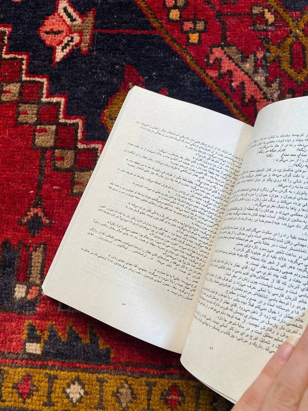 کتاب در حضر اثر مهشید امیرشاهی