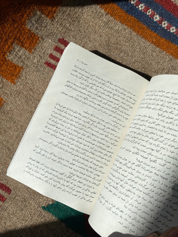 کتاب ژرمینال اثر امیل زولا انتشارات نیلوفر ترجمه سروش حبیبی