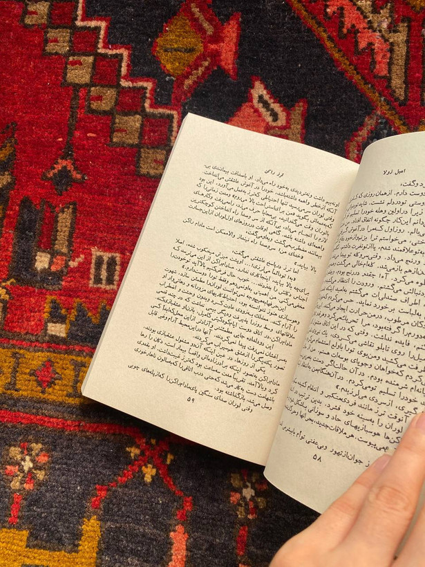 کتاب ترز راکن اثر امیل زولا ترجمه محسن هنریار